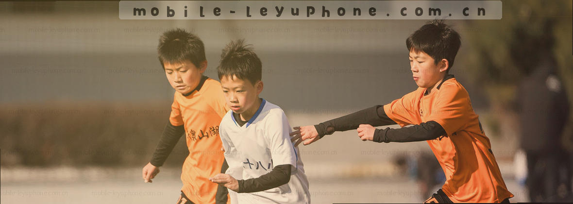 发现入口 选择LEYU手机版